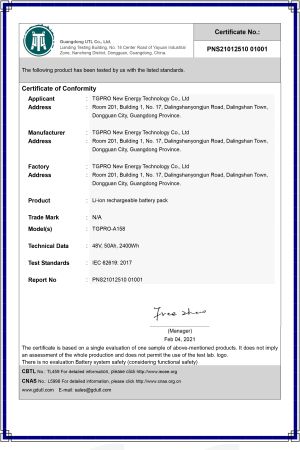PNS21012510 01001 IEC62619 Certificate