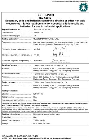 PNS21012510 01001 IEC62619 Report